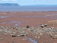 67055RoCrLe - The mud flats at Evangeline Beach at low tide, Grand Pré, NS.JPG